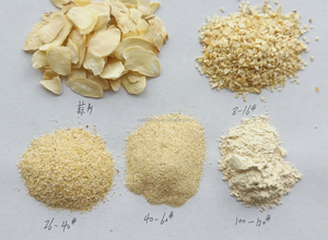 Tỏi G1 G2 G3 G4 G5 mất nước hạt tỏi <span class=keywords><strong>8</strong></span> <span class=keywords><strong>16</strong></span> 26 40 lưới tỏi hạt giá - Product Image 6