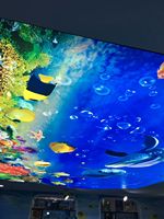 A-Grade ignifuge UV étoile motif LED plafonnier bleu ciel haut de gamme blanc film souple publicité tirer la lumière transmissive