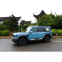 Nouvelle échelle de toit en acier au manganèse épaissi et kit de grille de fenêtre latérale en maille, adaptés aux accessoires Chery ICAR V27