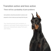 Gránulos Masticables de Condroitina y Glucosamina con MSM para Mascotas, para la Salud de las Articulaciones y la Movilidad de Perros y Gatos - Fábrica OEM