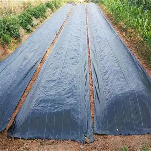 Mauvaises herbes de couleur noire avec matériau imperméable à la pluie Tapis de couverture de sol tissé en polypropylène Pp contrôlant les mauvaises herbes pour l'agriculture d'entre nous