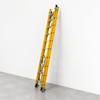 Échelle télescopique d'isolation en FRP pour l'extérieur, de marque SURESTEP, conforme à la norme CE, avec pieds antidérapants, pliable, capacité de charge de 150 kg