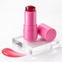 Stick de blush de qualité supérieure, haute pigmentation, imperméable, fini naturel, teinte claire, kit de maquillage cosmétique