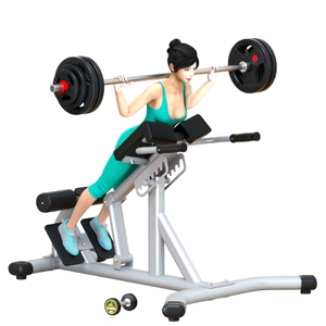 CZFIT Équipement de fitness de haute qualité pour l'entraînement de force et la musculation : Chaise romaine d'extension dorsale pour salle de sport - Product Image 5
