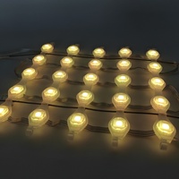 Lumières ponctuelles contrôlées par DMX étanches IP67 pour l'extérieur et l'intérieur, rideau de mailles LED transparent pour l'éclairage de scène et de défilés de mode