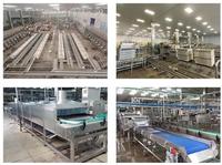 Ligne de production d'équipements de mise en conserve automatique pour fruits, légumes, viandes et haricots