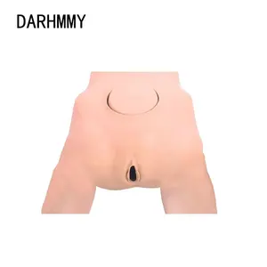 DARHMMY การสูตินรีเวชและนรีเวชการฝึกอบรมรุ่นการวัดกระดูกเชิงกรานหญิงสําหรับวิทยาศาสตร์การแพทย์