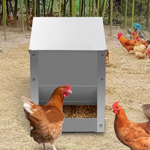 Comedero y comedero de acero inoxidable para uso doméstico, caja de alimentación automática especial para granjas de pollos - Product Image 6