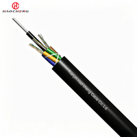 Cable de Fibra Óptica para Exteriores GYTY de 2-144 Hilos SM/MM con Membra Central de Acero para Larga Distancia, No Autoportante, para Instalación Aérea