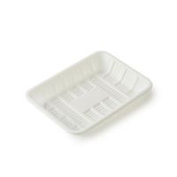 Plateaux alimentaires en gros, grands, biodégradables, à base d'amidon de maïs, pour poissons, légumes, biscuits, et plateaux d'emballage en plastique pour fruits