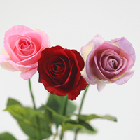 Realistische Diana Rose Hotel Familie Decoratie Verloopkleur Klein Hoofd Enkel Takje voor Afstuderen Valentijnsdag Kerstmis