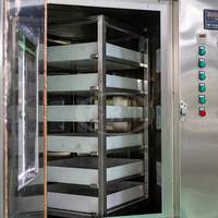 PLC-gestuurde droogkast voor BSF-kwekerijen, fruitdroogoven, droogmachine