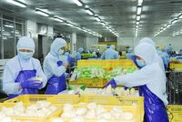 Bambou en bâtonnets marinés prêts à consommer en emballage en vrac