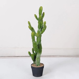 Plantes artificielles en plastique pour aménagement paysager, décoration de jardin, décoration intérieure, faux cactus, plantes artificielles, arbres artificiels - Product Image 2