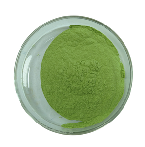 Chất lượng cao Nhà máy cung cấp tinh khiết cỏ lúa mạch bột với giá tốt - Product Image 2