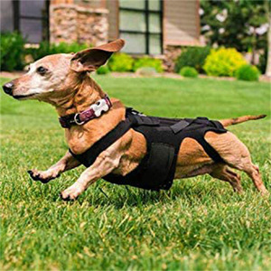 Dog Back Support Vest Adjustable Lumbar Support For IVDD Pain Relief Universal Size Black - Product Image 3