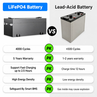 Chargeur de batterie au lithium 72V pour flotte de patrouille, pack de batteries 51.2V 65Ah 105Ah 150Ah pour voiturette de golf, tricycle électrique et véhicules de tourisme