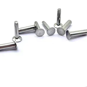 Manufacturer supply stainless steel flat countersunk head Semi Tubular Hollow Rivet Stainless Steel solid rivet