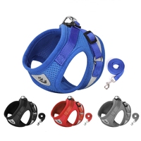 Ensemble de harnais et de laisse pour chien et chat, pour promener les petits animaux, harnais pour animaux de compagnie en maille douce réglable