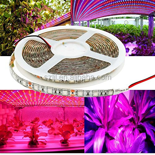 Impermeable 3 rojo 1 azul de 12 voltios DC SMD 5050 tira de LED planta crecer luces/Tira suave