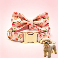 Collier pour chien réglable imprimé fruits frais, collier doux pour chiot avec nœud papillon décoratif, accessoires de mode durables pour animaux de compagnie pour tous les chiens