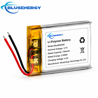 Batterie Li-Polymère Blusenergy 3.7V 700mAh Cellule en pochette Blus902040 pour l'électronique grand public