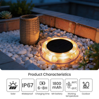 Lampes solaires de jardin étanches IP67, 8 LED multicolores, pour allées extérieures, en acier inoxydable, garantie 3 ans, certifiées RoHS