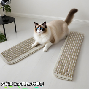 Rascador para Gatos con Catnip, Resistente al Desgaste, para Gatos de Interior - Product Image 3