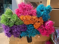 120g Vente en Gros Usine de Fleurs Séchées Naturelles Stabilisées Gypsophile Souffle de Bébé, Bouquet Floral pour Mariage Fête des Mères Noël