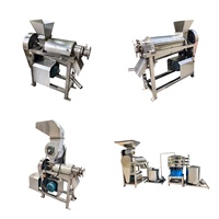 Machine industrielle en acier inoxydable pour extraire le jus d'orange, d'ananas, de fruits et de légumes
