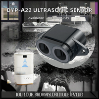 Capteur de distance ultrasonique DYP-A22, portée 1cm-3m, angle de faisceau 30-60 degrés, module à petite zone aveugle