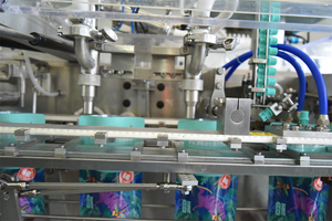 Hoàn Toàn Tự Động CE Cấp Giấy Chứng Nhận Ngang Premade Spout Pouch <span class=keywords><strong>Juice</strong></span> Lỏng Máy Chiết Rót - Product Image 5