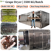 Sécheur de raisin 3500 kg/lot |   Sèche-linge à double pompe à chaleur |   MH-15E-L |   Sécheur à fruits |   Déshydrateur de raisin |   Machine à sécher les raisins