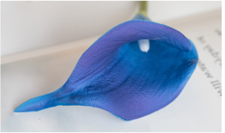 Bleu Klein