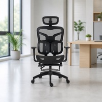 Chaise de bureau ergonomique en maille avec logo personnalisé, accoudoirs réglables, support lombaire, verrouillage d'inclinaison, pivotante, pour tâches de bureau