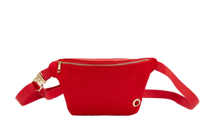 도매 사용자 정의 나일론 애완 동물 허리 벨트 가방 유행 가죽 패니 팩 지퍼 개 산책 훈련 똥 디스펜서 낮은 MOQ - Product Image 3