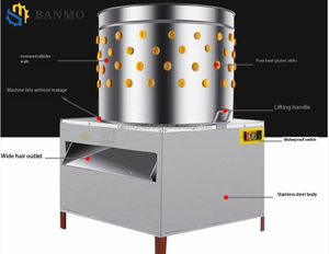 Machine automatique de dépouillage des plumes de volaille, vente directe usine, pour poulets, cailles, pigeons, oiseaux et canards - Product Image 4