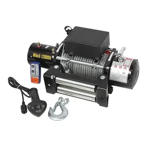 2000lbs-12000lbs 12v/24v Wire Rope Electric Winch Mini Portable Electric Recovery Winch For Auto