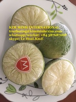 Export van zaadloze limoenen, verse kwaliteit A, ISO-gecertificeerd, Vietnam oorsprong, KME merk, 3cm formaat, tegen een prijs van…