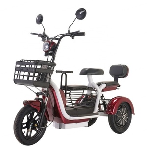Nouveau tricycle électrique pour adultes 500W 48V, moto électrique à 3 roues de 8 pouces, carrosserie ouverte, longue autonomie, véhicule à trois roues pour passagers - Product Image 3