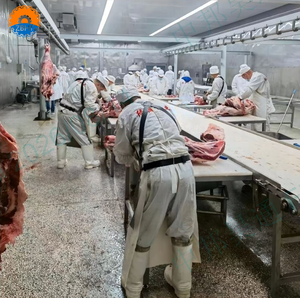 Table de désossage de carcasses en acier inoxydable, plan de travail de boucher, équipement industriel de transformation de la viande pour abattoir - Product Image 6