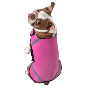 Abrigo de Neopreno Db Extreme para Perros, Talla Extra Pequeña, Carcasa Protectora para Perros, Estilo Moderno para Otoño - Product Image 4