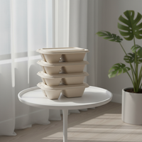 Boîte à lunch jetable ovale en pulpe de bagasse, écologique, biodégradable, recyclable, avec couvercle, capacité 1000 ml, pour plats à emporter