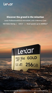 Carte mémoire TF professionnelle Schede Gold Series LMSGOLD256G 128 Go 256 Go en plastique pour appareils mobiles et GPS LMSGOLD128G-BNNNG, LMSGOL - Product Image 3