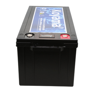 แบตเตอรี่ 24V 100Ah เกรด A เซลล์ใหม่ พร้อมระบบ BMS ลิเธียมไอรอนฟอสเฟต สำหรับเรือพลังงานแสงอาทิตย์ - Product Image 2