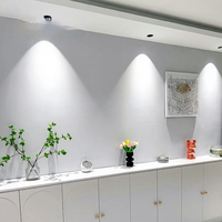 Projecteur LED en aluminium moderne, anti-éblouissement profond, à angle réglable, blanc/noir, pour usage domestique et commercial