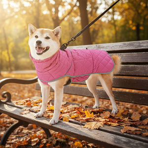 חליפת החלמה לאחר ניתוח לכלבים מבית Petcore IOT, בד נושם וידידותי לסביבה מכותנה/פוליאסטר/ניילון - Product Image 3