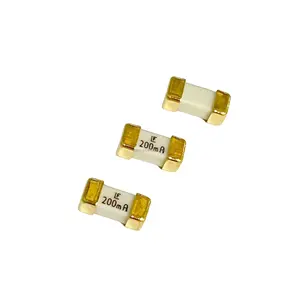 Advantageous products Ceramic Fuse 125V/250V 800Ma little SMD Fuse 1808/2410 LF SMD Fuse Quick break 0451.800.MRL