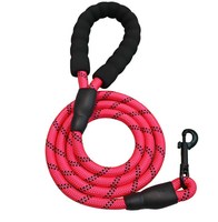 Corde d'escalade élastique réfléchissante de grande taille pour chien, cordon tressé en polyester/nylon