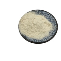 Poudre de Bêta-Glucane de Levure en Gros 70% 80% 90% Ingrédient Alimentaire Fonctionnel Fournisseur en Vrac